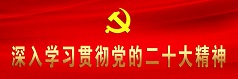 深入学习贯彻党的二十大精神